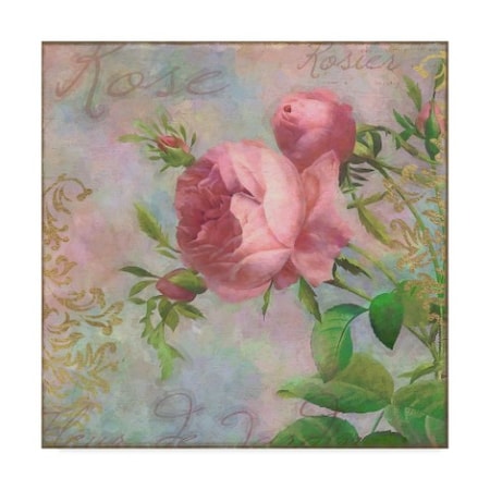Cora Niele 'Rose Centered' Canvas Art,14x14